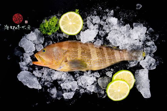 圖片 【海口峰水產】澎湖野生 黃斑魚